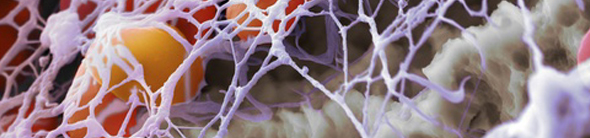 pharmaceutical & biotech industry